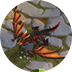 L9 long1 icon